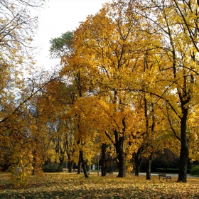 Листопадно в парка...