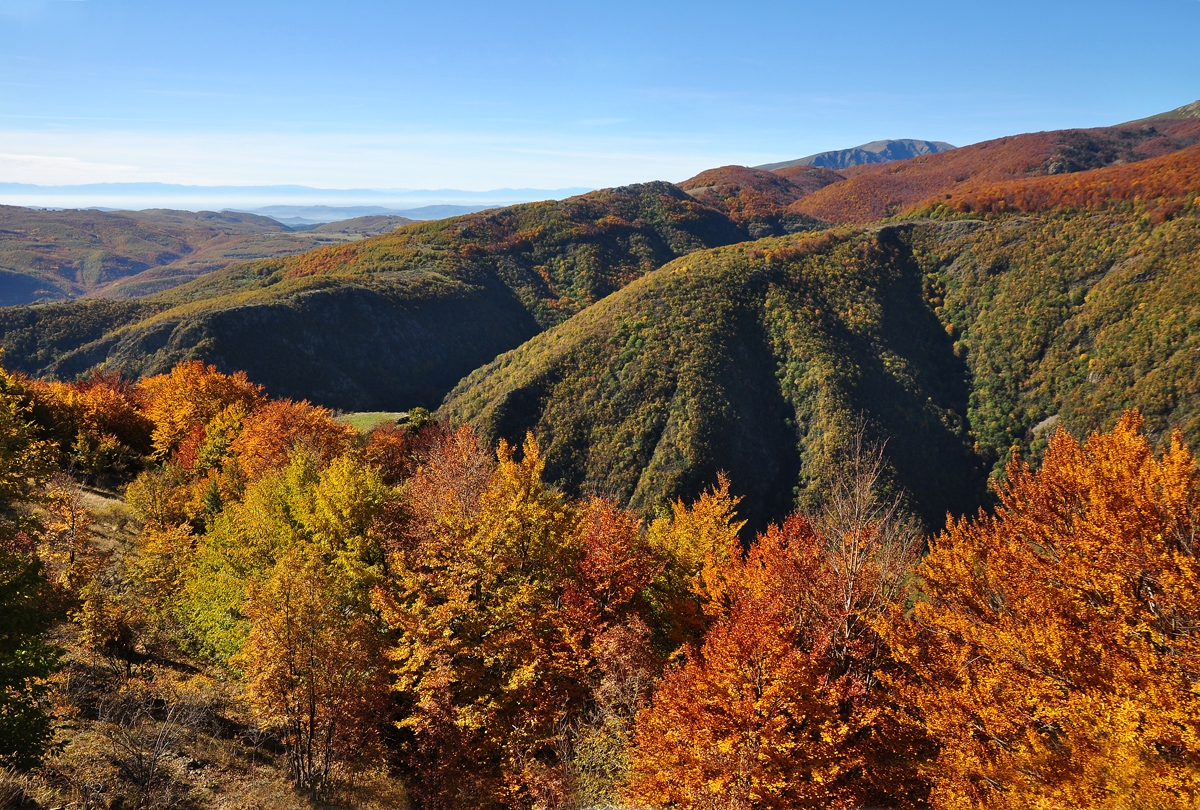 Балкана