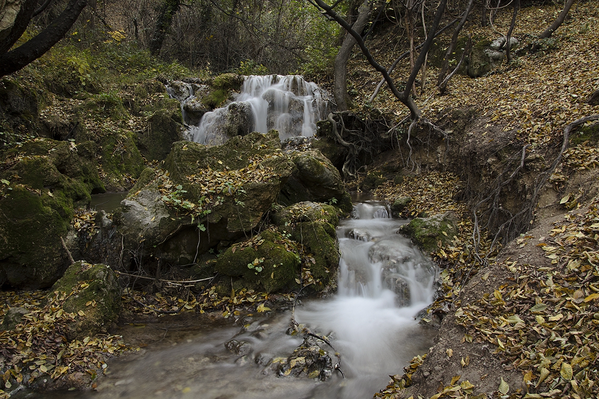 Бачковски водопад