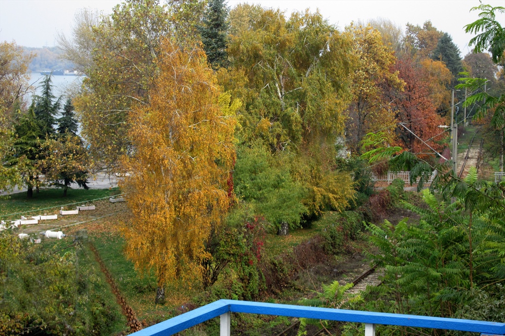 Есенно ревю