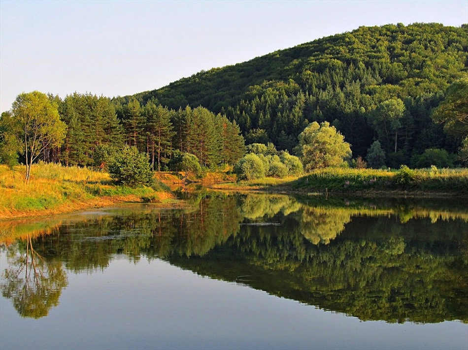 Язовирни гледки