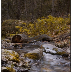 Родопска вода