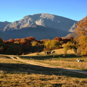 От Стара планина
