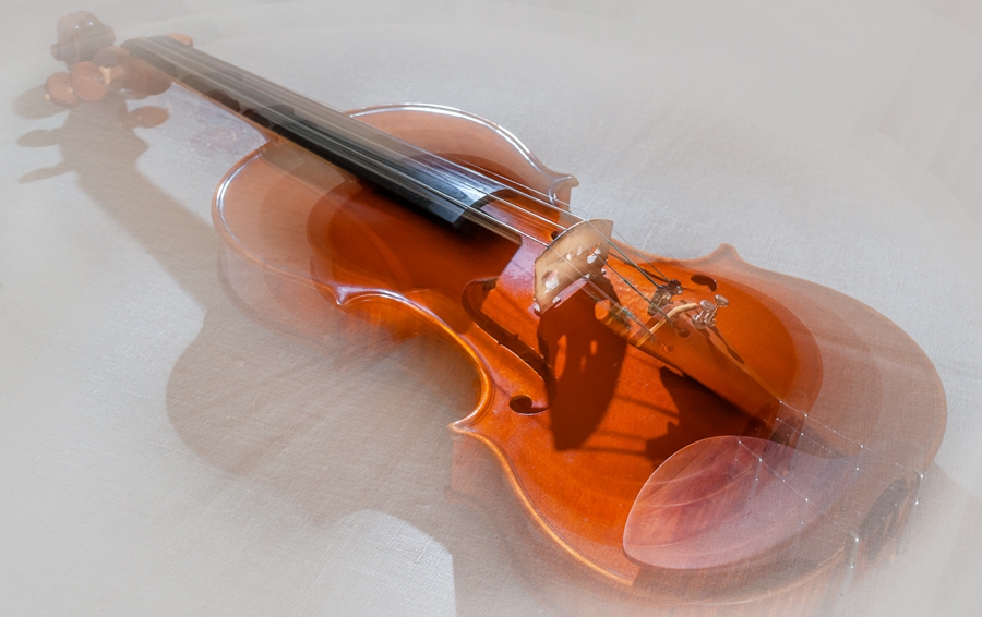 Violin phantasy