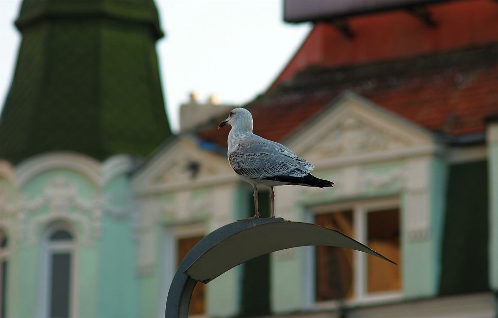 Стар Бургас