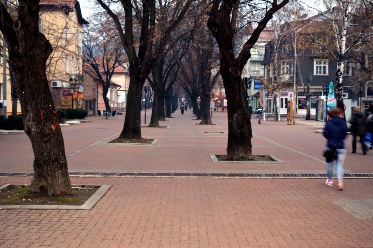 Булевард България