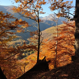 В планината