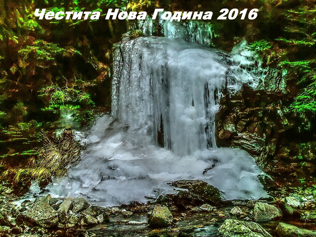 Честита Нова Година !