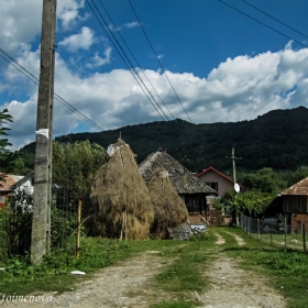 Аграрно-карпатски пейзаж