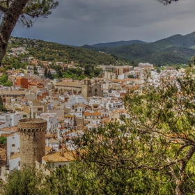 Tossa de mar