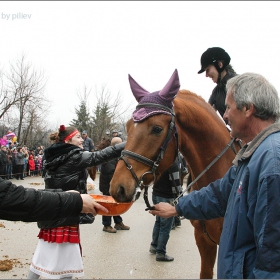 НА ТОДОРОВ ДЕН