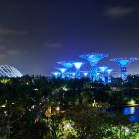 Marina Bay Gardens at night 