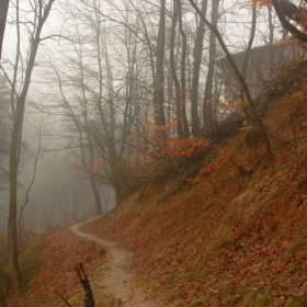 Пролетно в планината