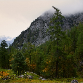 Есен в Алпите