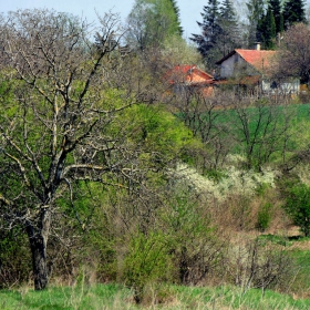 Запролетяване