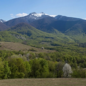 Тодорини кукли