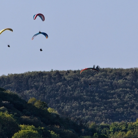 Up in the Air... 