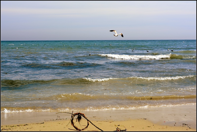 море