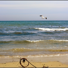 море