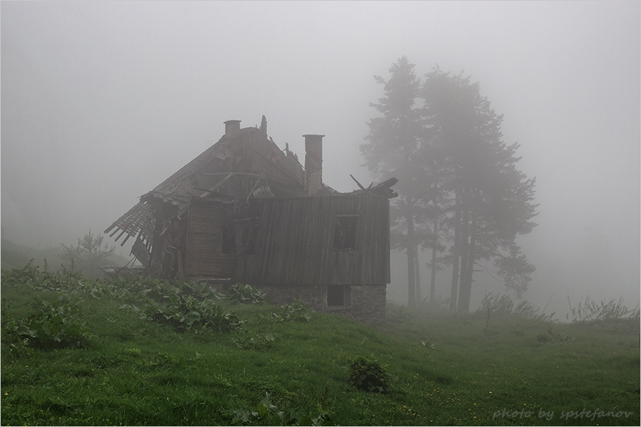 Mist...