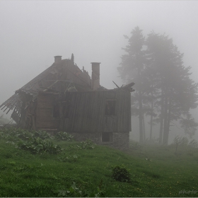 Mist...