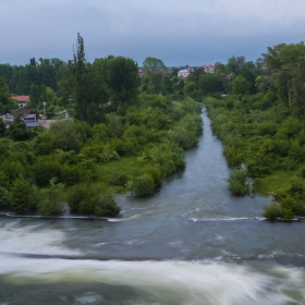 Поглед