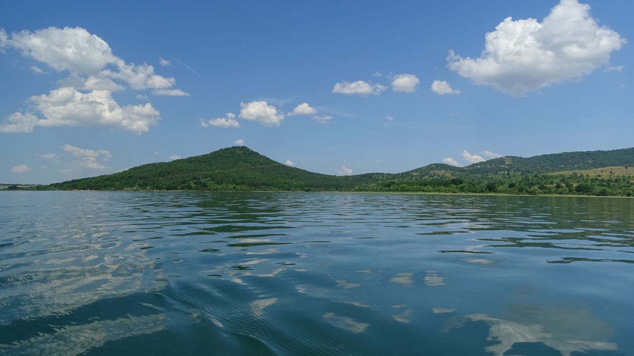 Поглед