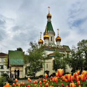 софийски погледи