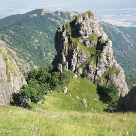 В царството на мечките