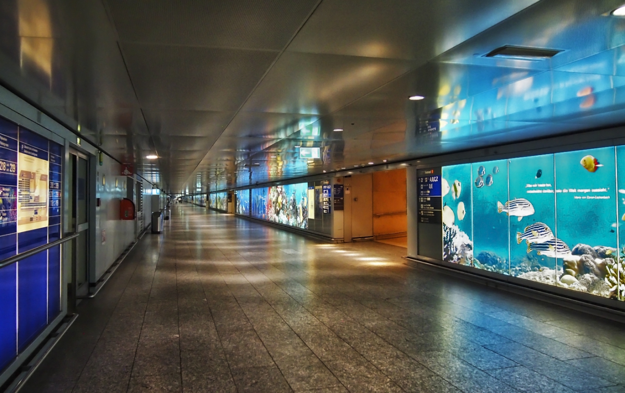 Airport Frankfurt am Main 4- 07.07. 2015, 03:36