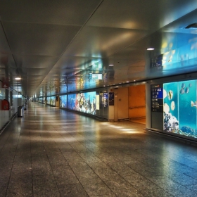 Airport Frankfurt am Main 4- 07.07. 2015, 03:36