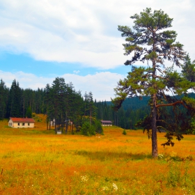 Някъде край Змеица