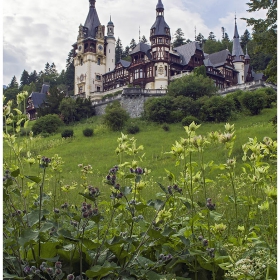 Пелеш