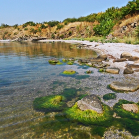 Край брега