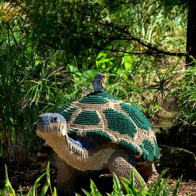 Костенурка и чинка от лего-блокчета, Nature Connects