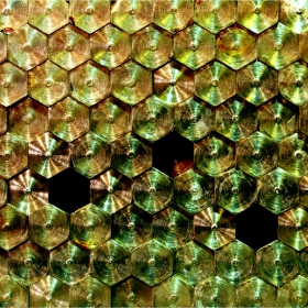 характери 1