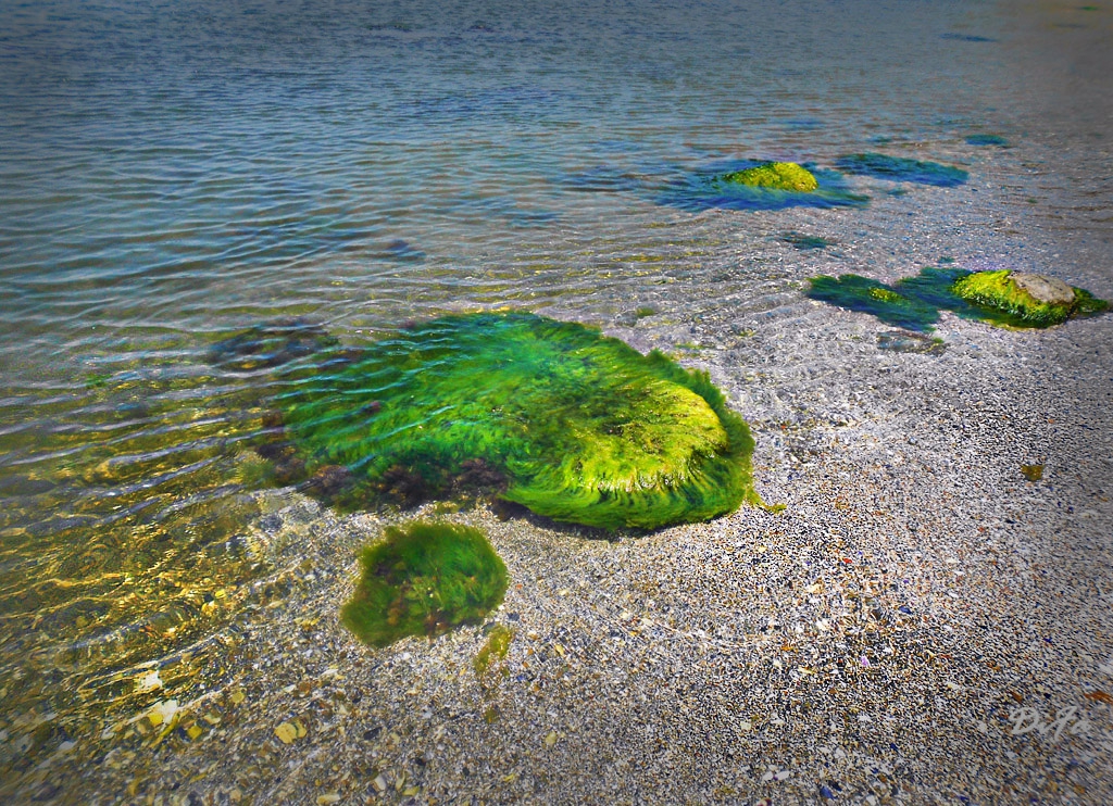 Камъни в морето
