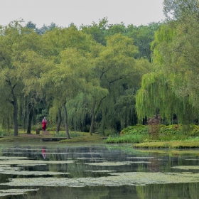 В Елфическата гора