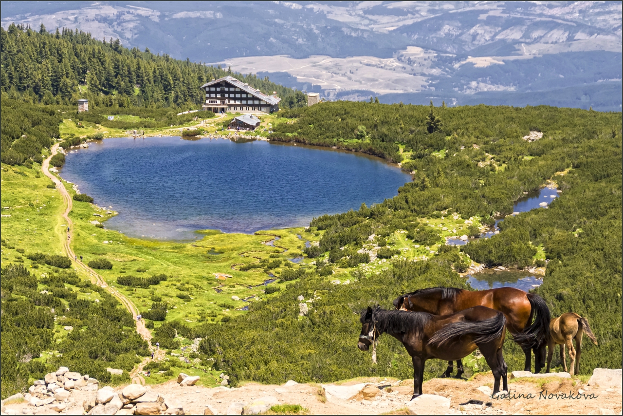 Панорама с кончета