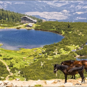 Панорама с кончета