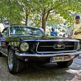 Ford Mustang Coupe 298  V8