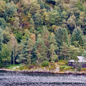 Рибарска хижа,сгушена сред гората