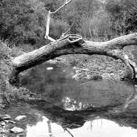 Към водопад Синият вир