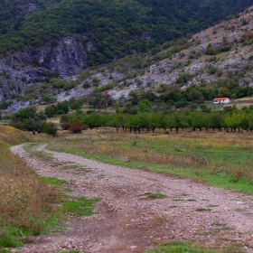 Път към планината