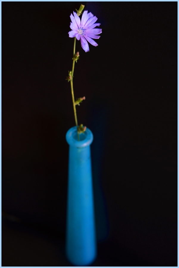 Blue hello