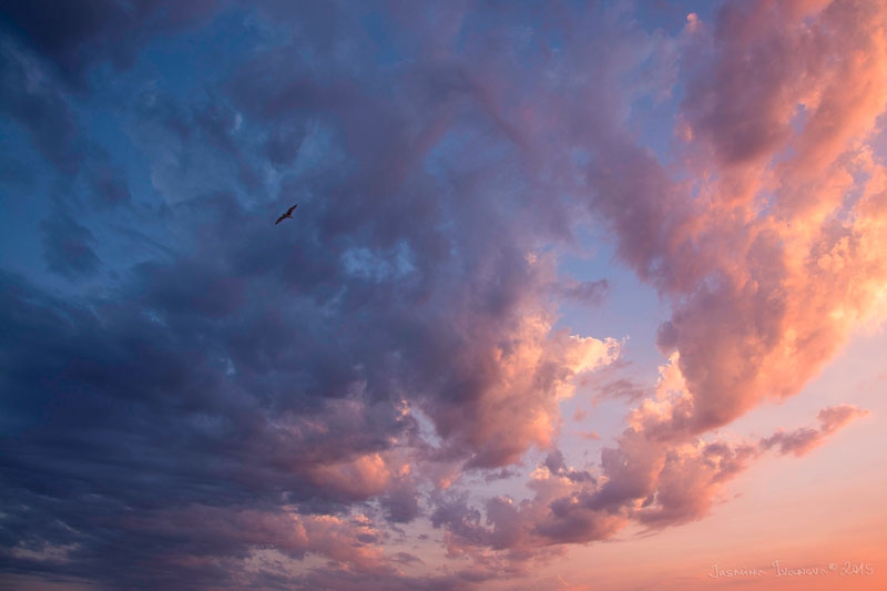 Into the Sky