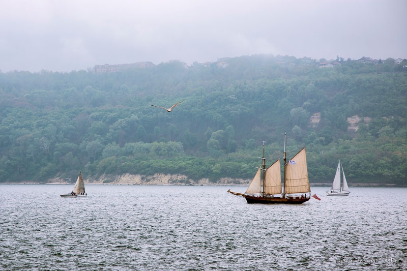 Tall Ships Race