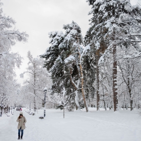 Снежна красота