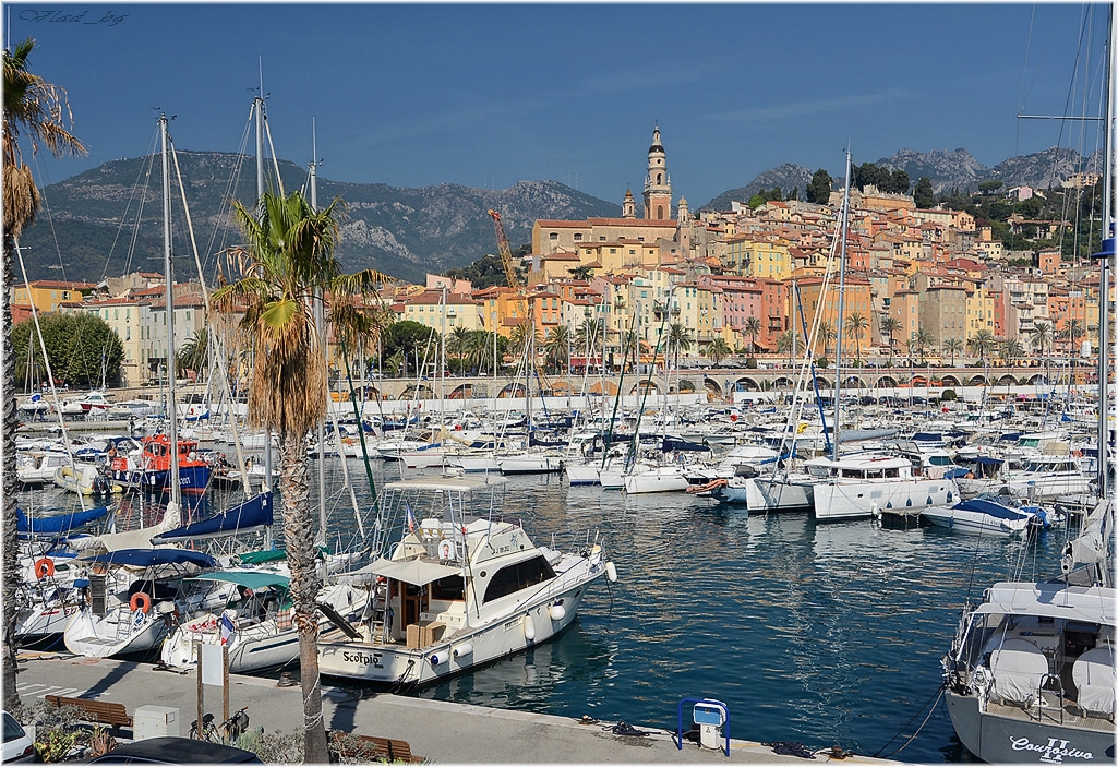 Menton...