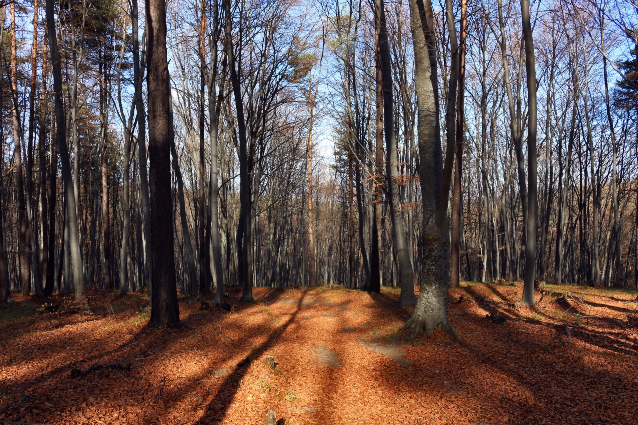 November